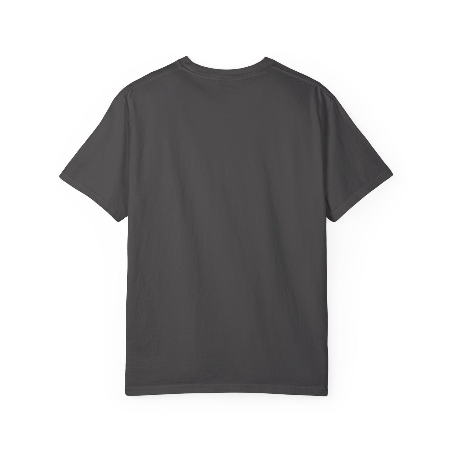 Ohio The Florida Of The Midwest Tee