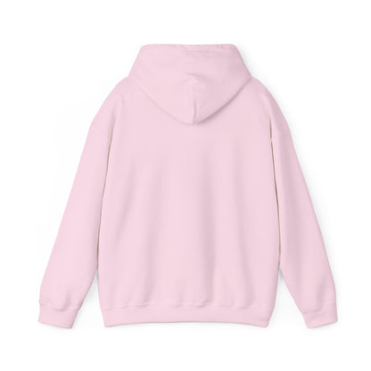 Dayton Ohio Gaming Hoodie Sweatshirt