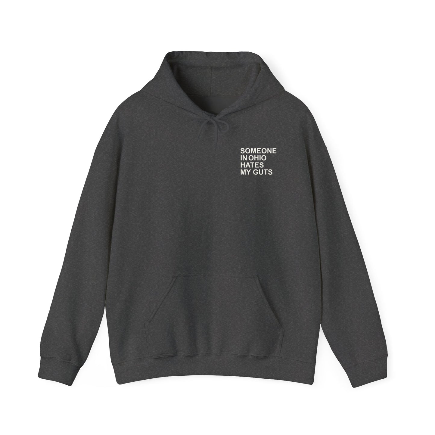 Someone In Ohio Hates My Guts Hoodie Sweatshirt