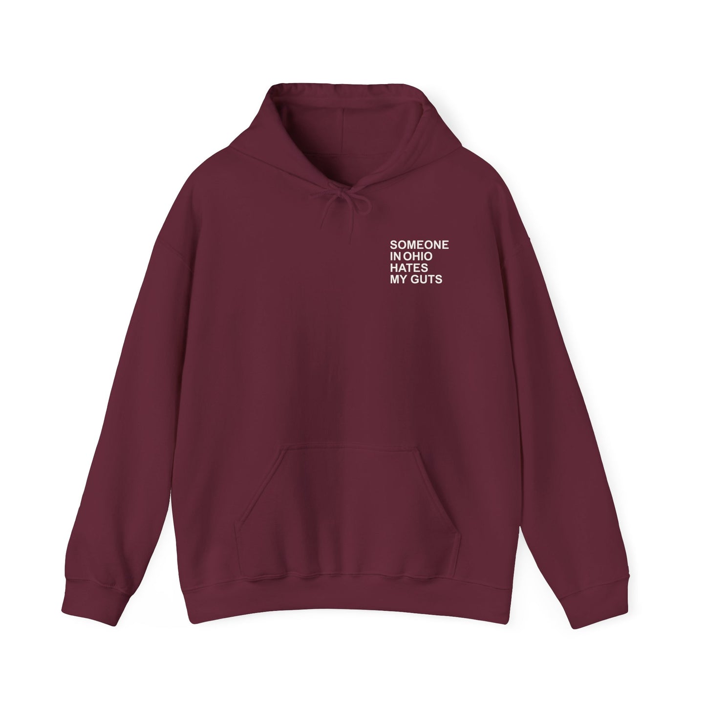 Someone In Ohio Hates My Guts Hoodie Sweatshirt