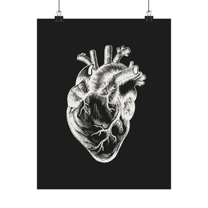 Anatomical Heart Print