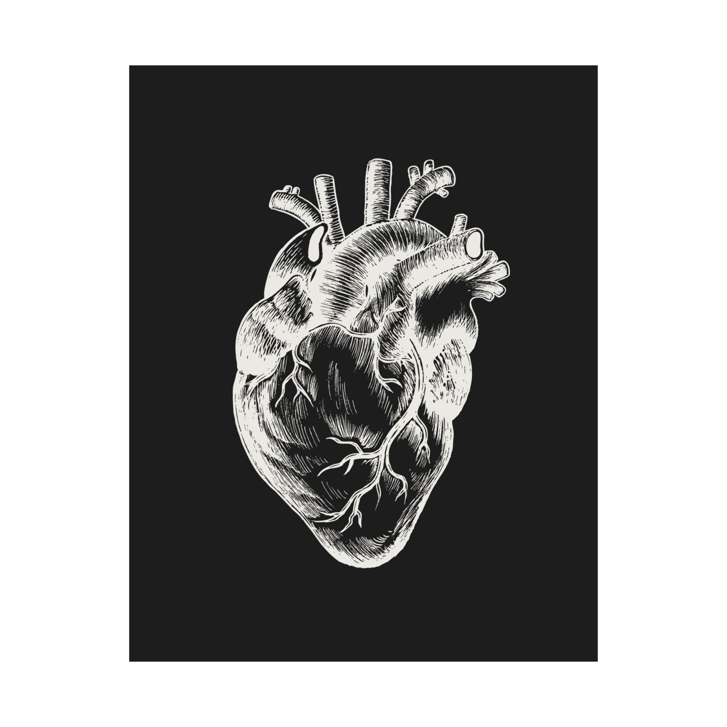 Anatomical Heart Print