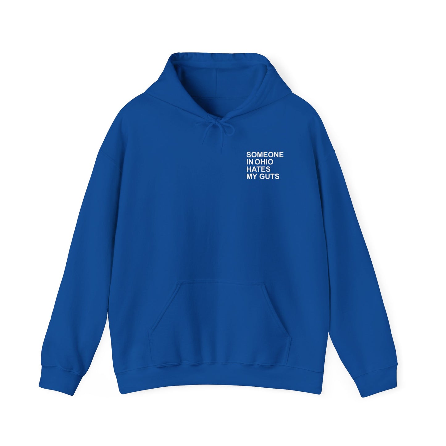Someone In Ohio Hates My Guts Hoodie Sweatshirt