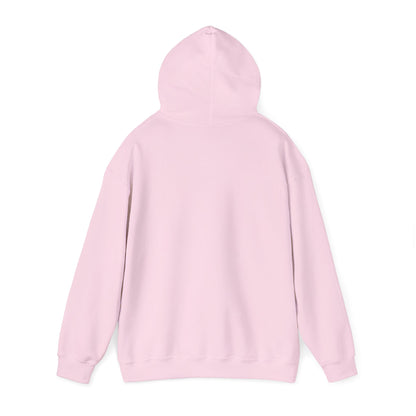 Dayton Ohio Gaming Hoodie Sweatshirt