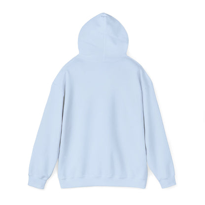 Dayton Ohio Gaming Hoodie Sweatshirt